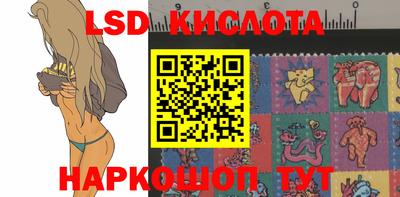 шишки Бузулук