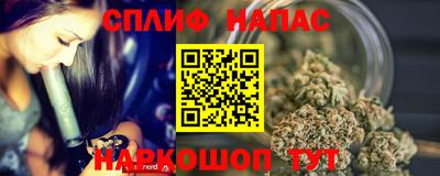 прущие грибы Будённовск