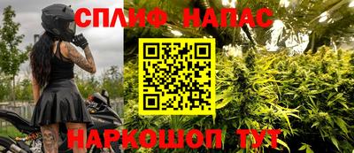 прущие грибы Будённовск