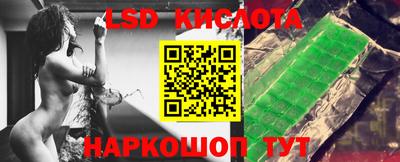 прущие грибы Будённовск