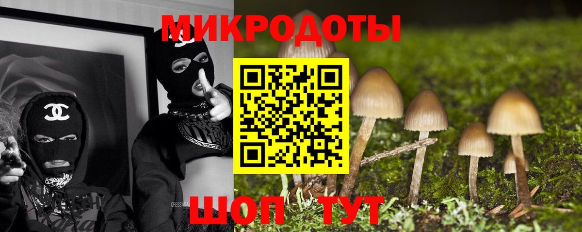 Шахты  Галлюциногенные грибы прущие грибы  Вход с VPN  Галлюциногенные грибы прущие грибы 
